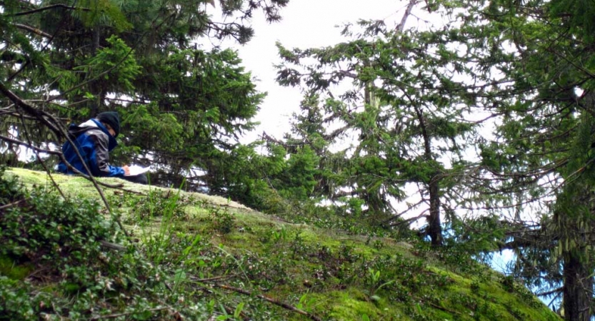 an outward bound student rests among trees and moss while journaling 